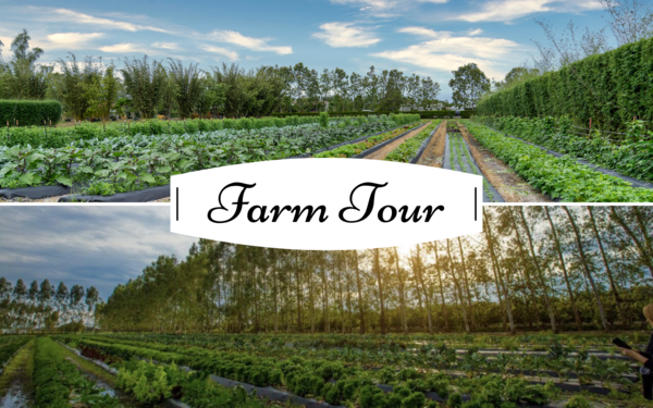 Holiday Farm Tour Logo