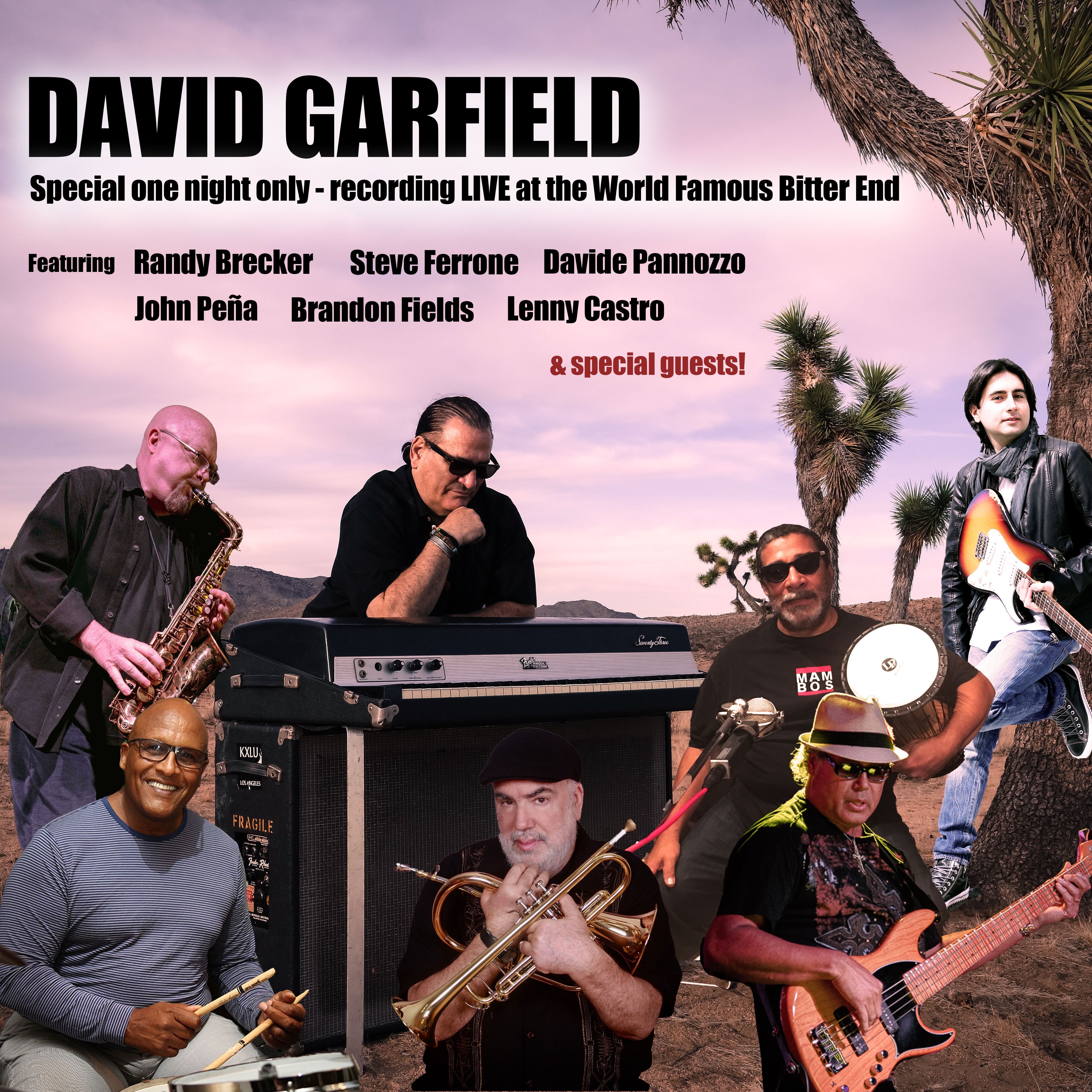 David Garfield (Early Show) Live Recording Logo