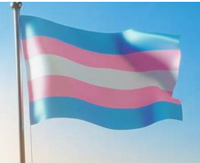 Trans Inclusive Crime Syndicate