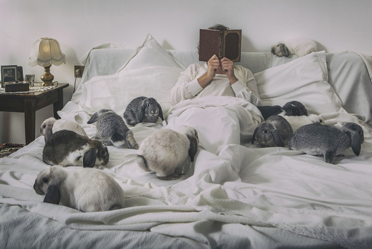 Photographer Diana Bagnoli on Visura