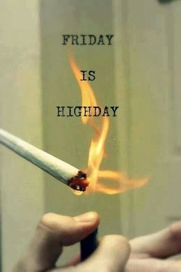 highday6011