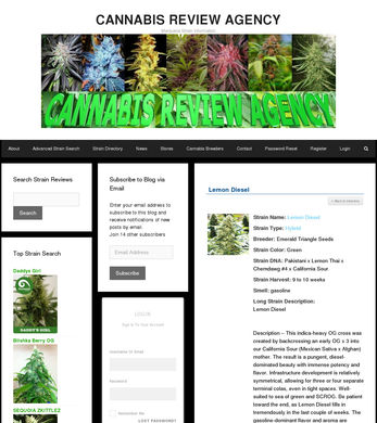 lemondiesel6978