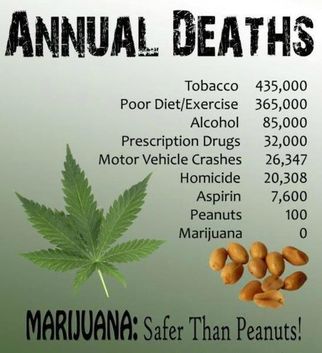 marijuanasaferthanpeanuts3826