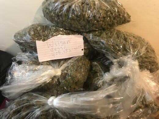 sourdieselogkkuruptmoonrockpineappleexpress13230