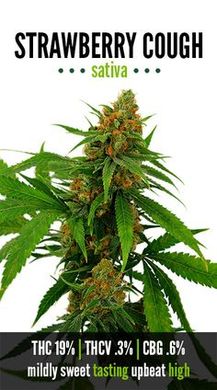 strainstrawberrycough5670