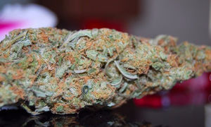 Banana Candy
