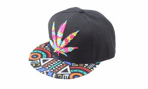 Trippy Hippie Snapback