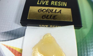 Moxie Gorilla Glue (Live Resin)