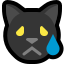 :cat_crying_ms: