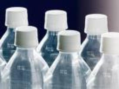 Malaysia , India , Price , China , Singapore , MEG , Philippines , PTA , PET , SEA & India , Thailand , Asia Pacific , Vietnam , Indonesia , Paraxylene