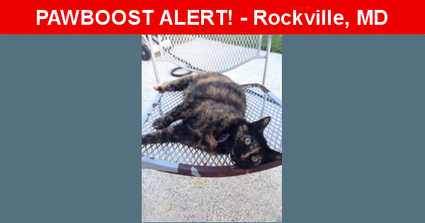 Lost Female  last seen near Allison Drive, Rockville, Rockville, MD 20851