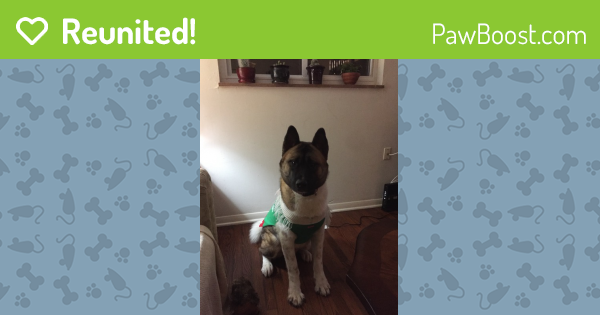 Reunited Male Dog last seen Near East Springdale Avenue, Knoxville, TN, Knoxville, TN 37917