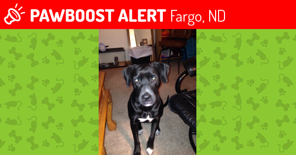 dog id fargo