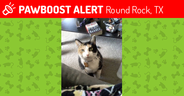 Lost Female Cat last seen Near Sunrise Rd & Palm Valley Blvd, Round Rock, TX 78664