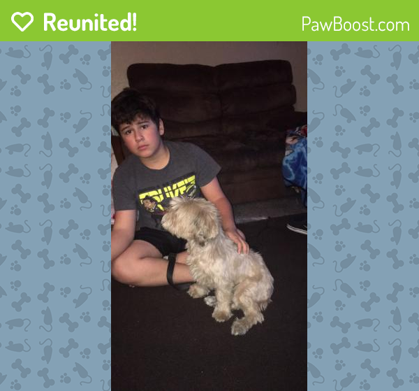 Reunited Female Dog in Las Vegas, NV 89115 (ID 4675145) PawBoost