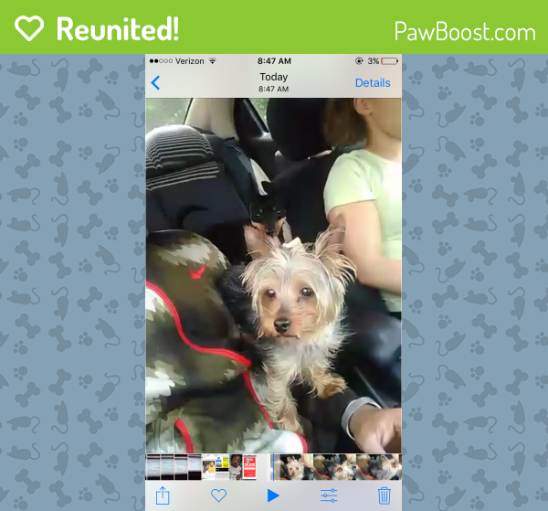 Reunited Male Dog in East Lansing, MI 48823 (ID 4680479) PawBoost