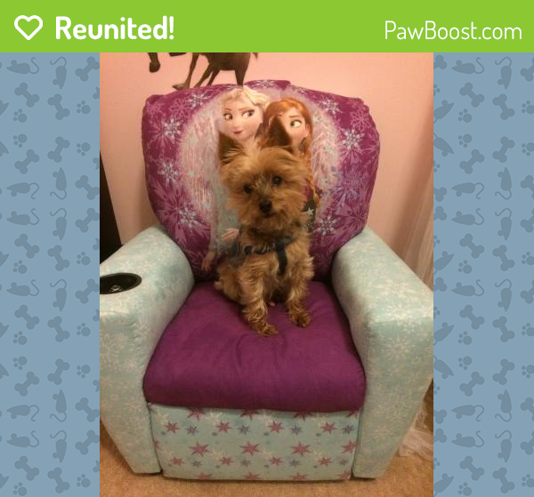 Reunited Male Dog in Archdale, NC 27263 (ID 4675860) PawBoost