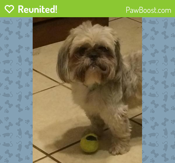 Reunited Male Dog in Amory, MS 38821 (ID 4689272) PawBoost