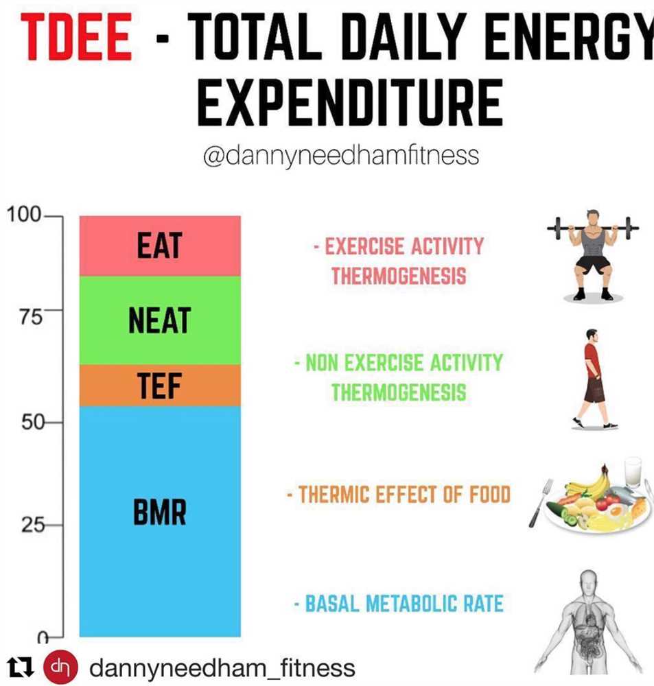 Total Daily Energy Expenditure Regan Patterson Repost Findit