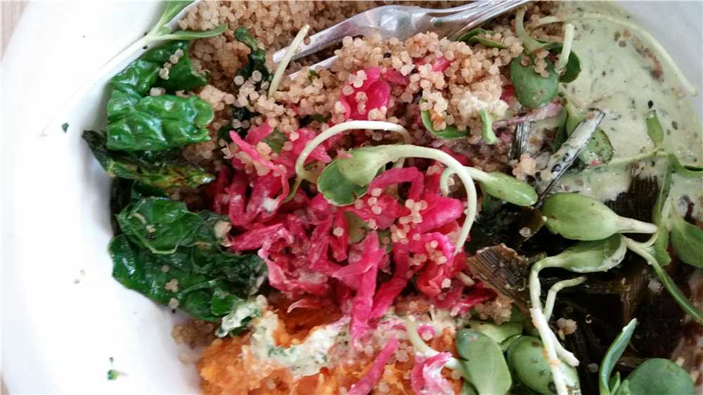 A fresh bowl of wholesome cafe gratitude Findit