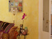 The Getaway/Tani's Place - Amsterdam - Jordaan