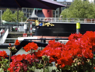 Mizar Logeerboot B&B - Houseboat - Rotterdam - Centrum