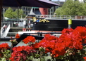 Mizar Logeerboot B&B - Houseboat