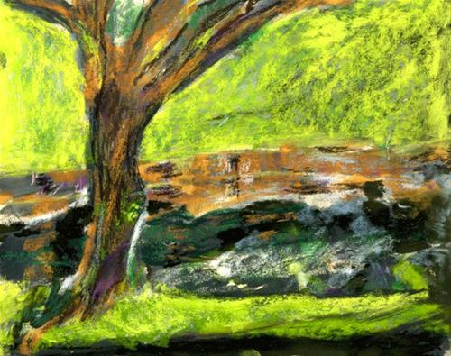 "Pond Reflections Point Richmond" original fine art by Donna Crosby