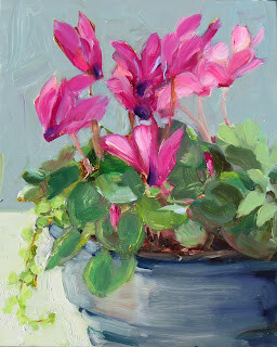 "Ciclamen Plant,still life,oil on panel,14x11,price $300" original fine art by Joy Olney
