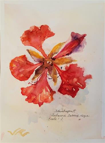 "Flamboyant-l" original fine art by Jean Krueger