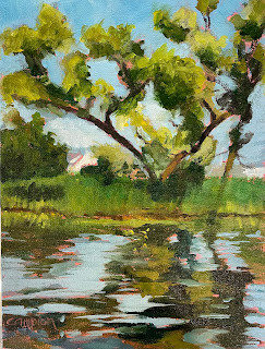 "1131 No Worries" original fine art by Diane Campion