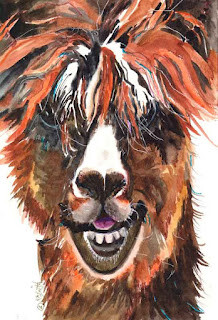 "Al the Alpaca" original fine art by Kay Smith