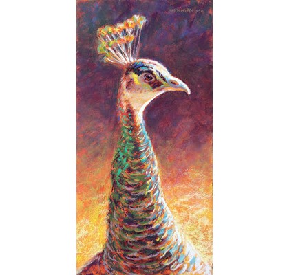 "Profile of a Peacock" original fine art by Rita Kirkman