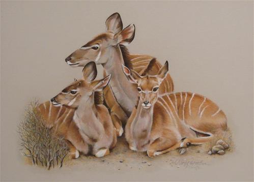 "Greater Kudu" original fine art by Cheryl Plautz