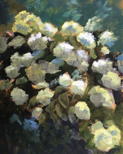 "Rhododendrons" original fine art by Pam Holnback