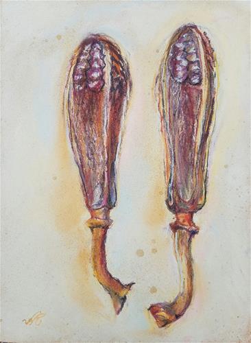 "Cedrela-Species Not Known" original fine art by Jean Krueger