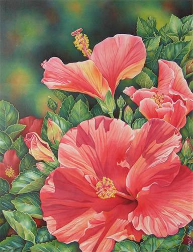 "Hybiscus" original fine art by Cheryl Plautz