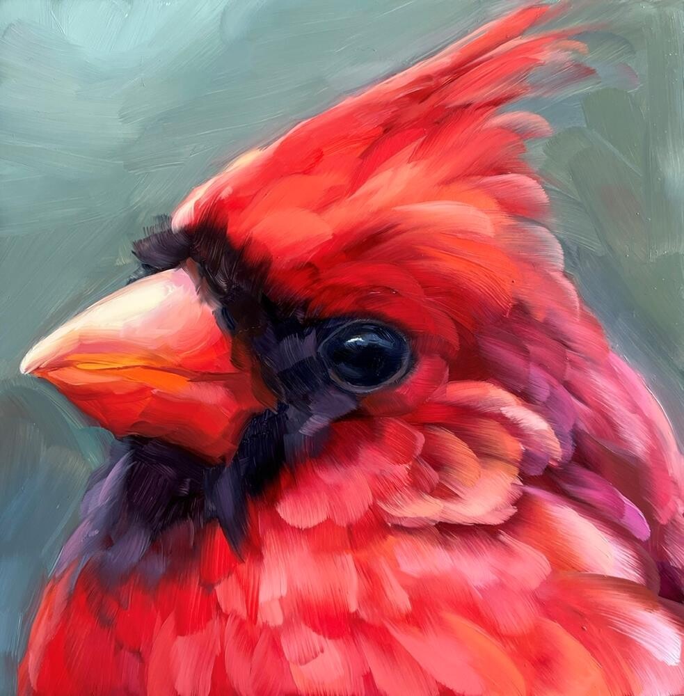Cardinal Study By Holly Storlie cardinal-study-by-holly-storlie