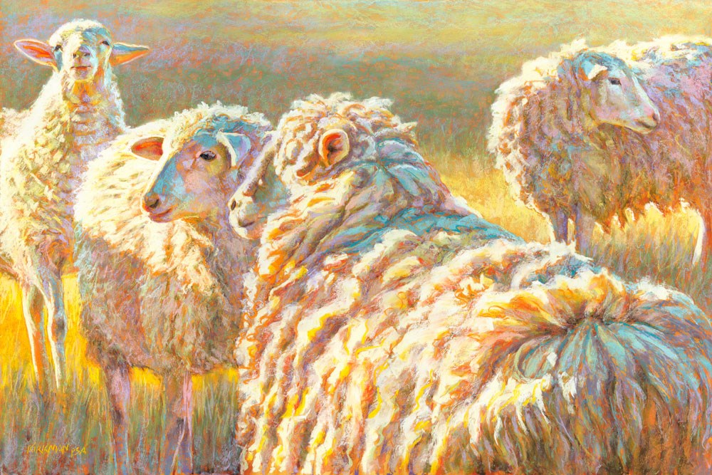 Ягненок схема цветная. Рита Киркман пастель овцы. Картина овцы. Пастельных Барашков. Романовские овцы картины.