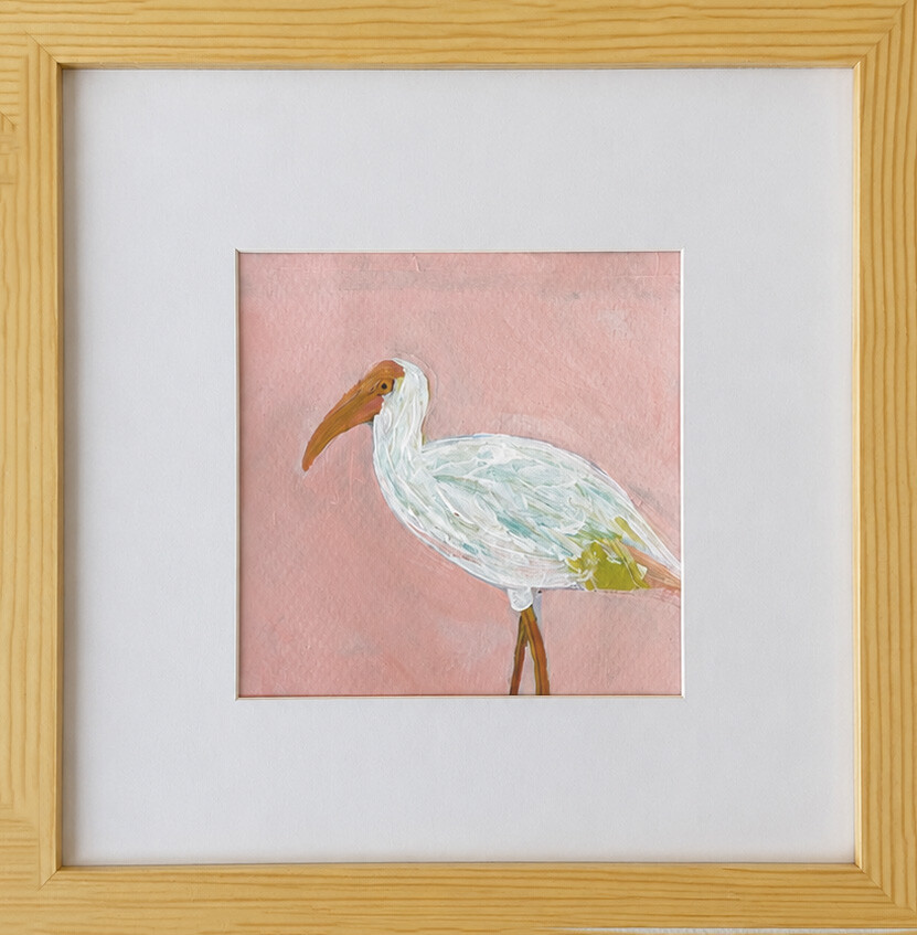 The Ibis