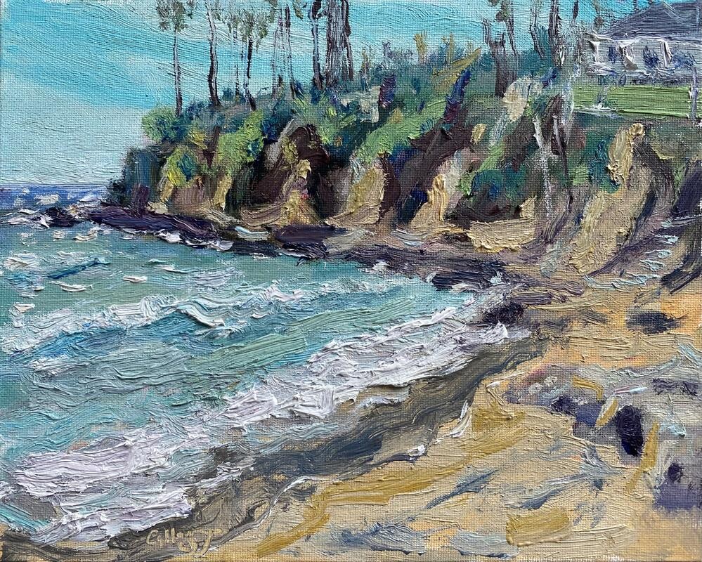 "Shaw Cove Laguna Beach California " by Jay Callaway
