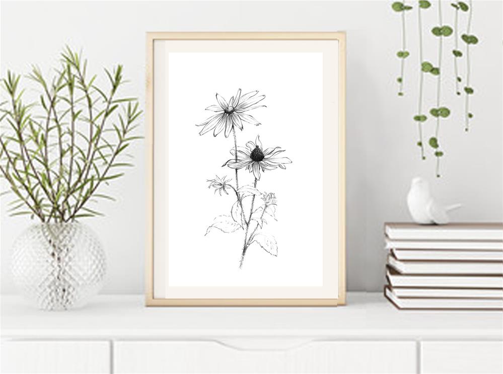 Black-eyed Susan sketch