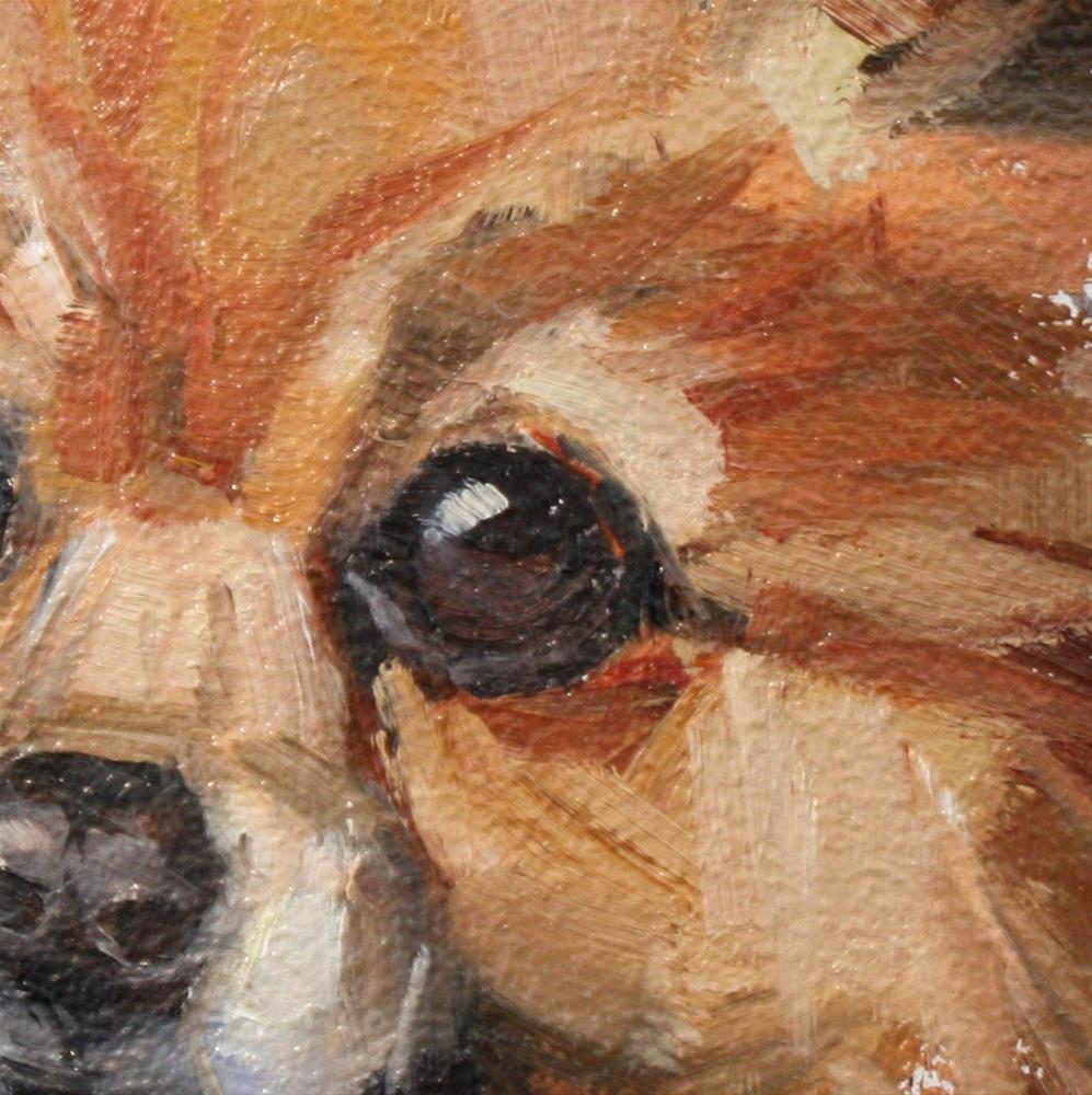 "Gemma" original fine art by Cathleen Rehfeld