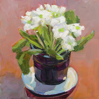 "White Primrose,still life,oil on panel,8x8,price $250" original fine art by Joy Olney