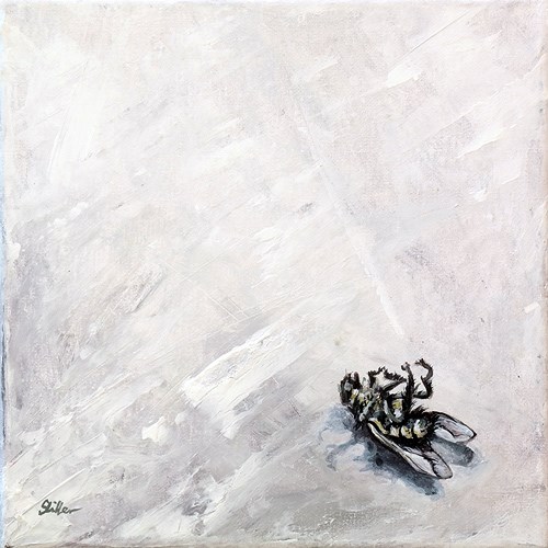 "1491 Ende einer Fliege" original fine art by Dietmar Stiller