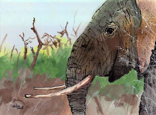 "Bold Elephant" original fine art by Kay Smith