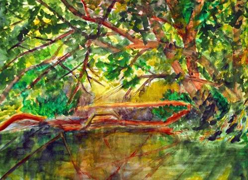 "Sunlit Creek" original fine art by Donna Crosby