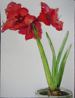 "Amaryllis 3,still life,watercolor,12x9,price $100" original fine art by Joy Olney