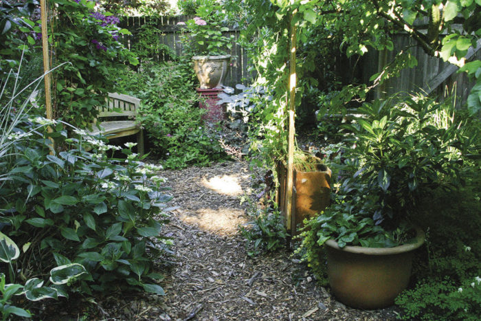 Small Space Gardening | Make the Most of a Small Space - FineGardening