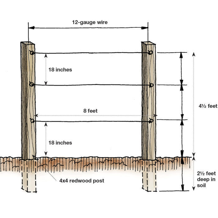 An Easy Approach to Espalier FineGardening